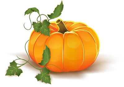 Curing pumpkins